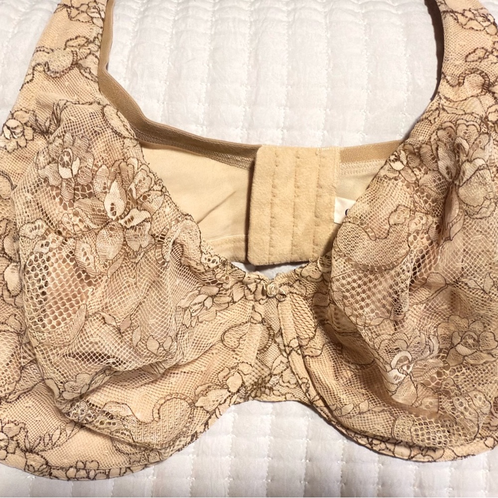 Elegant Lace Women's Bra in Tan Lane Bryant 
Cacique